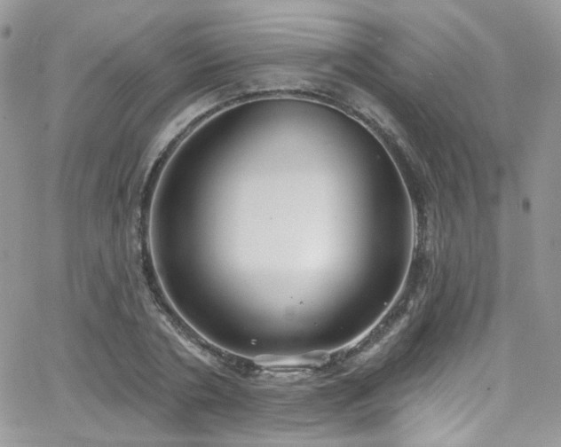 X0000062140786200512091214