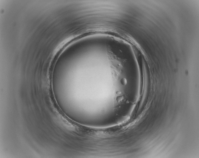 X0000062140787200512091214