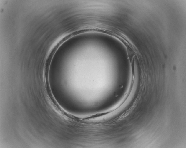 X0000062140788200512091214