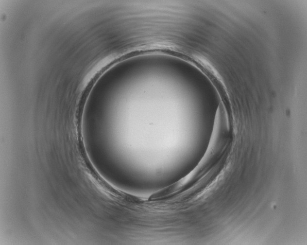 X0000062140789200512091214