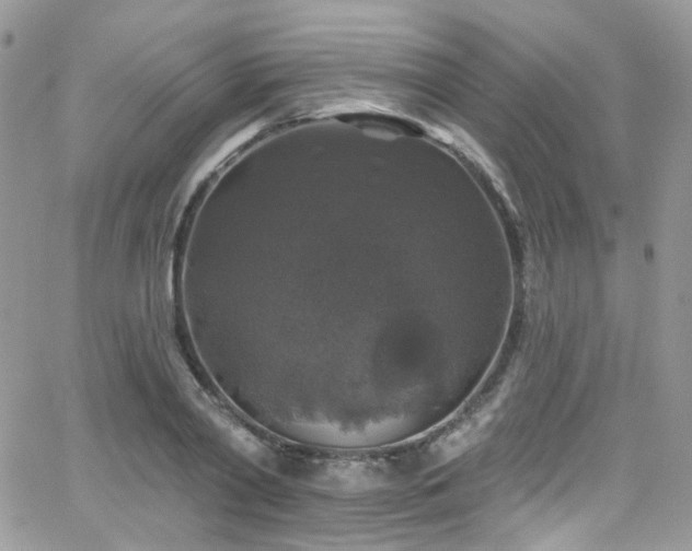 X0000062140790200512091214