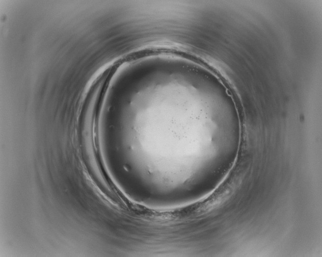 X0000062140791200512091214