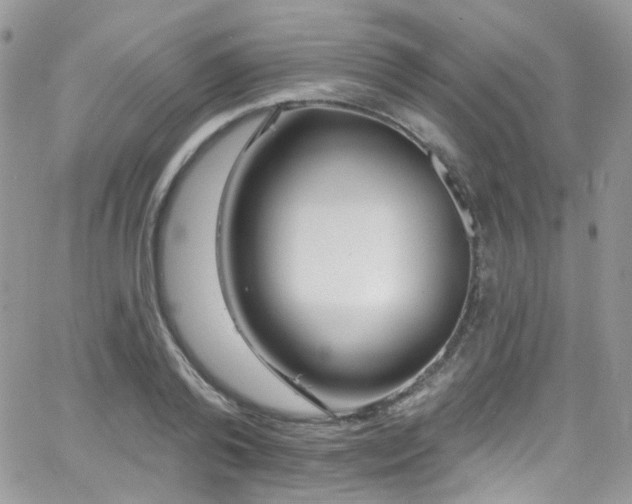 X0000062140792200512091214