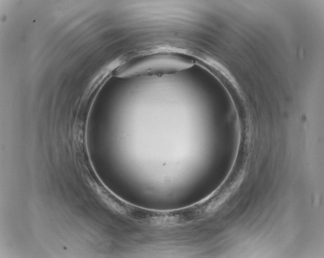 X0000062140793200512091214