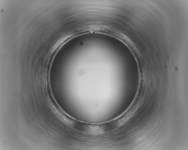 X0000062140794200512091214