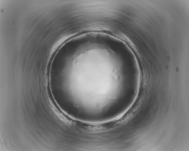 X0000062140795200512091214