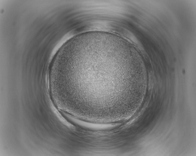 X0000062140796200512091214