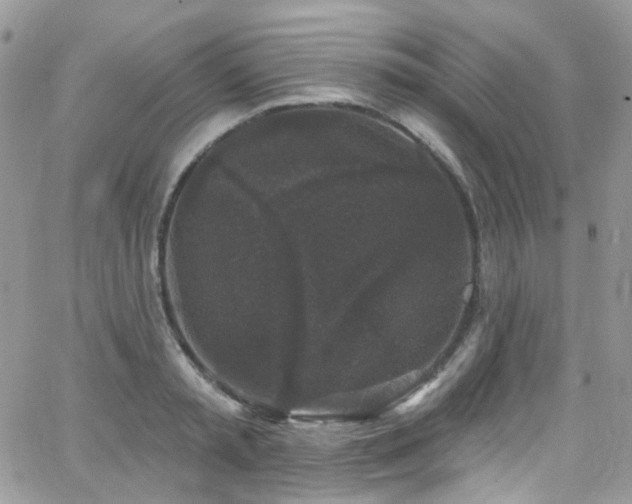 X0000062140797200512091214