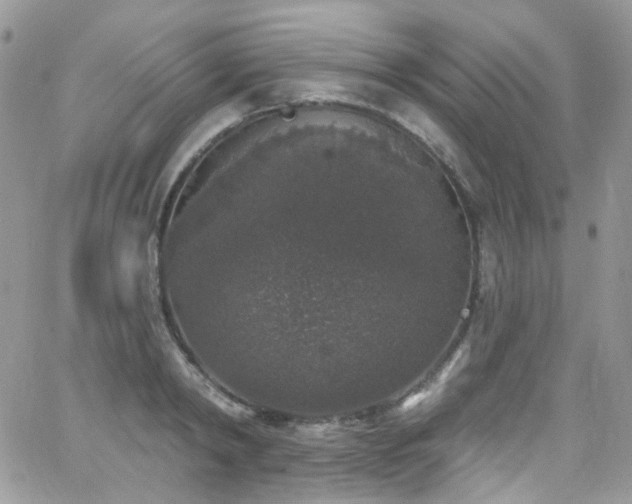 X0000062140798200512091214