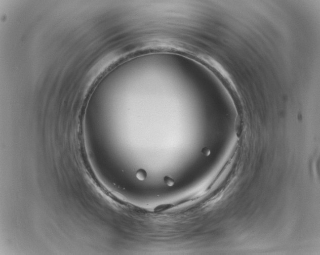 X0000062140799200512091214