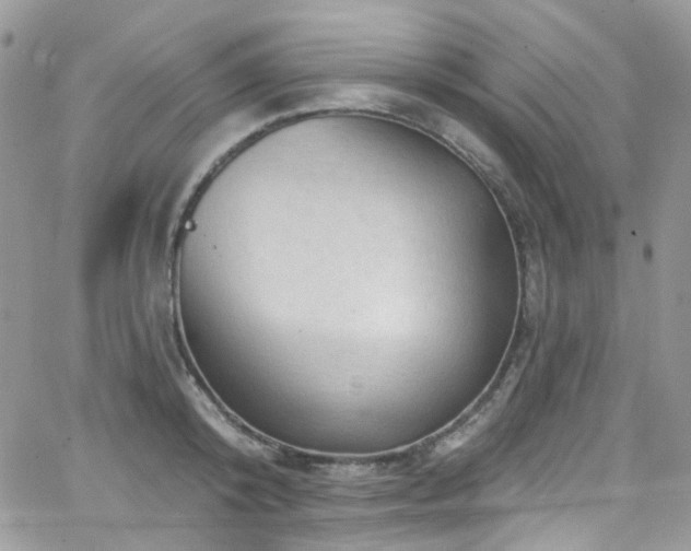 X0000062140800200512091214