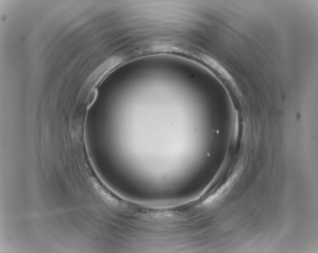 X0000062140801200512091214