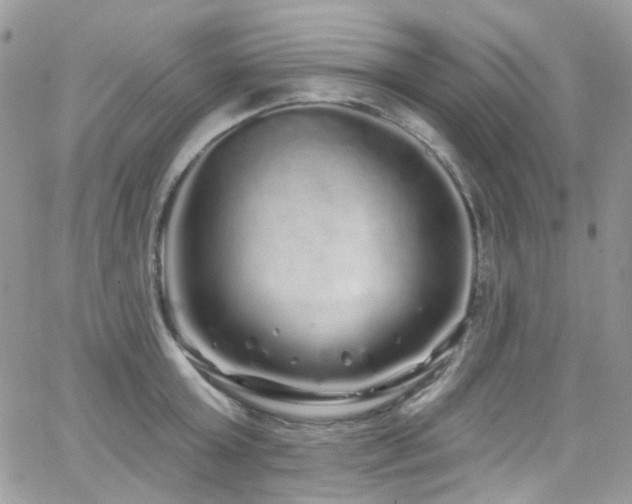 X0000062140803200512091214