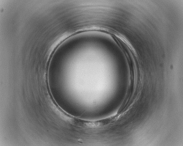 X0000062140805200512091213