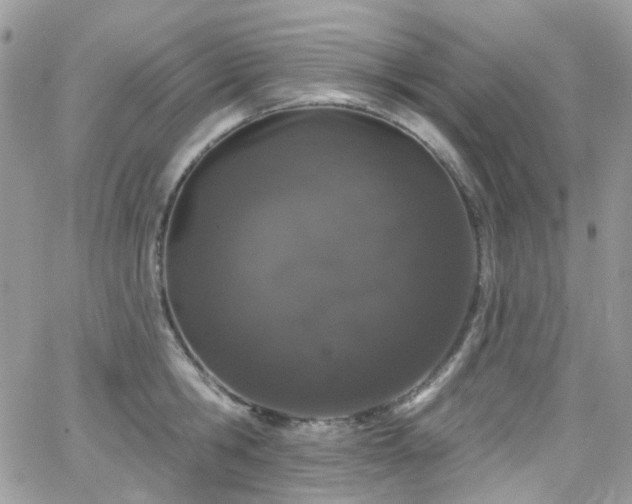 X0000062140806200512091213