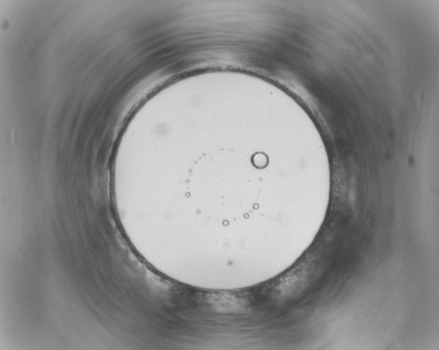 X0000062140807200512091213