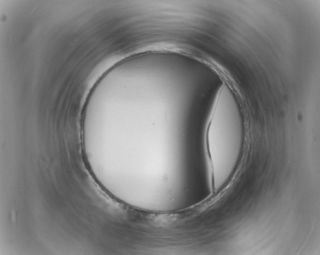 X0000062140808200512091213