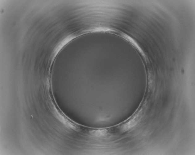 X0000062140810200512091213