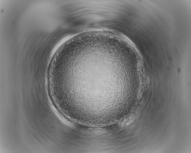 X0000062140811200512091213