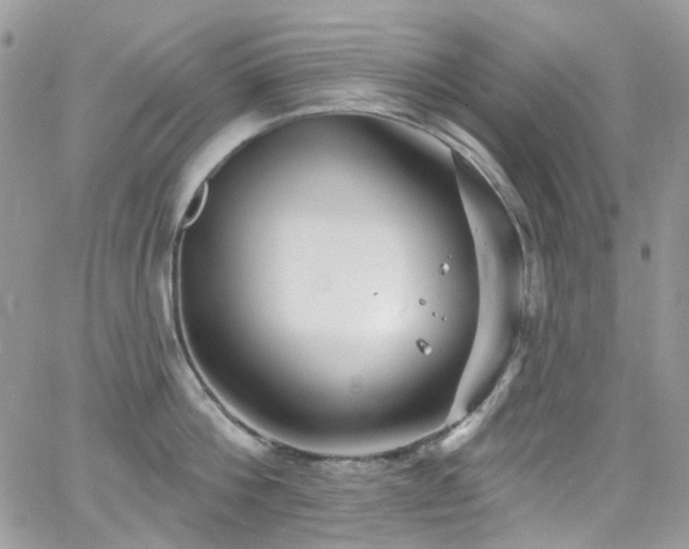 X0000062140812200512091213