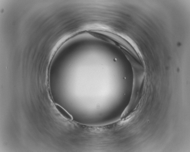 X0000062140815200512091213