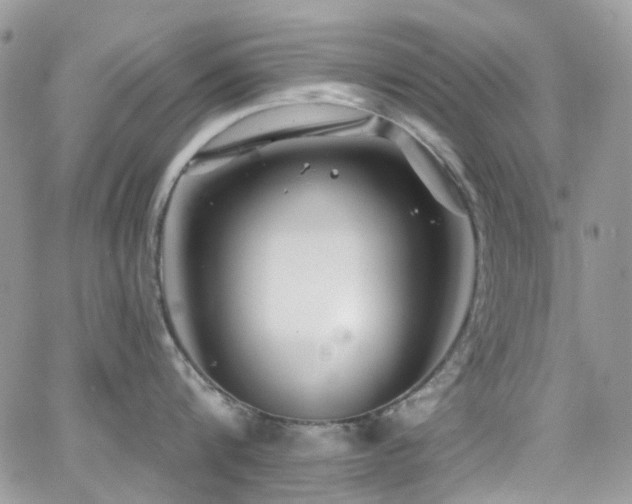 X0000062140816200512091213