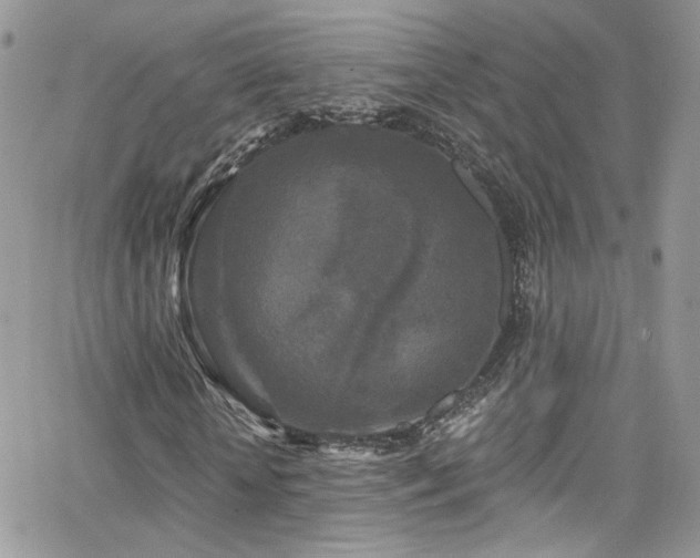 X0000062140818200512091213