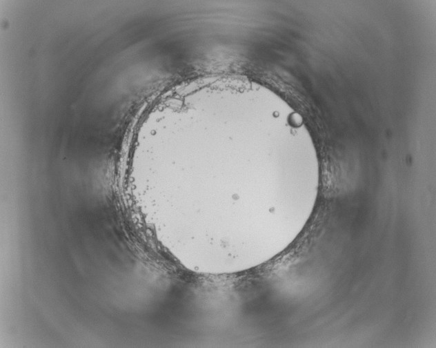 X0000062140820200512091213