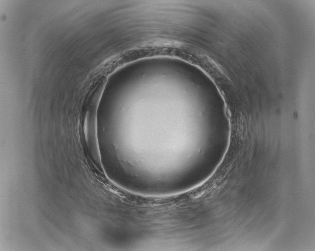 X0000062140821200512091213