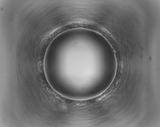 X0000062140822200512091213