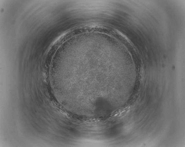 X0000062140823200512091213