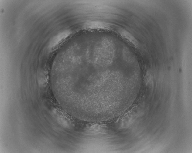 X0000062140824200512091213