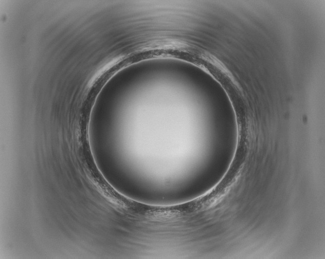 X0000062140826200512091213