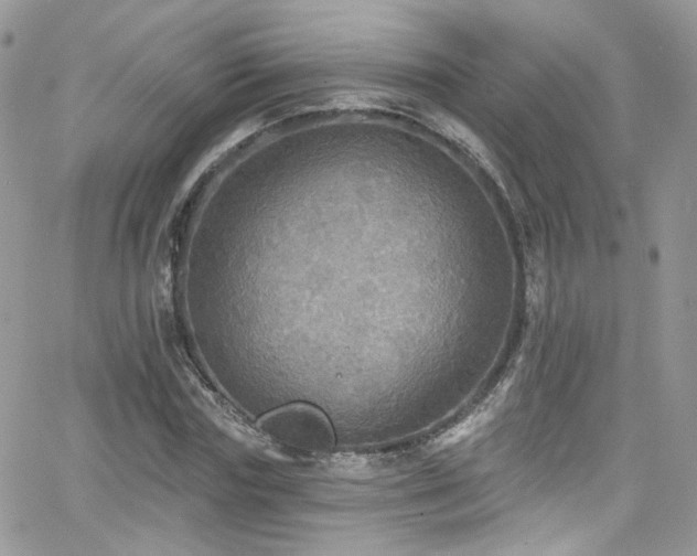 X0000062140827200512091213