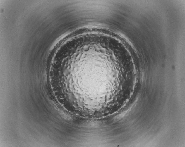 X0000062140829200512091213