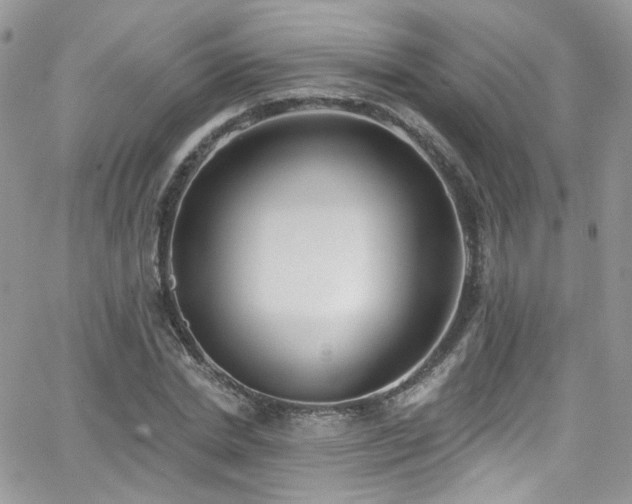 X0000062140830200512091213