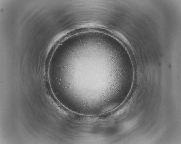 X0000062140831200512091213