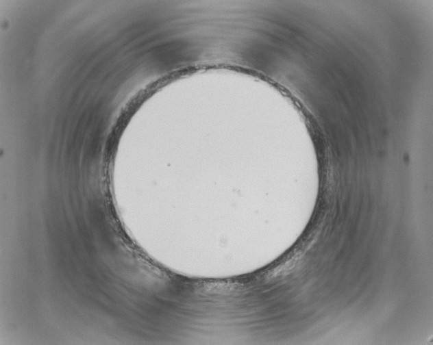 X0000062140832200512091213