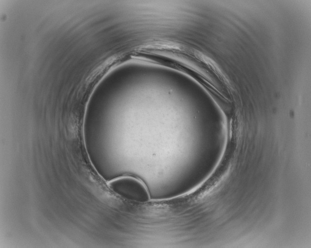 X0000062140833200512091213