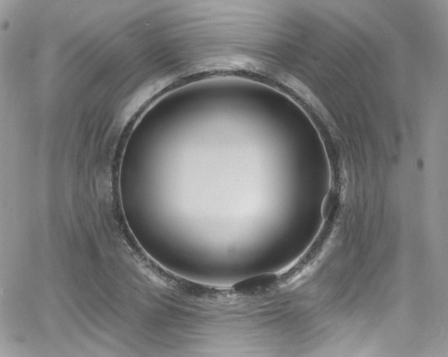 X0000062140834200512091213