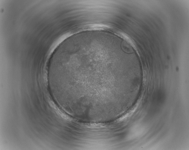 X0000062140835200512091213