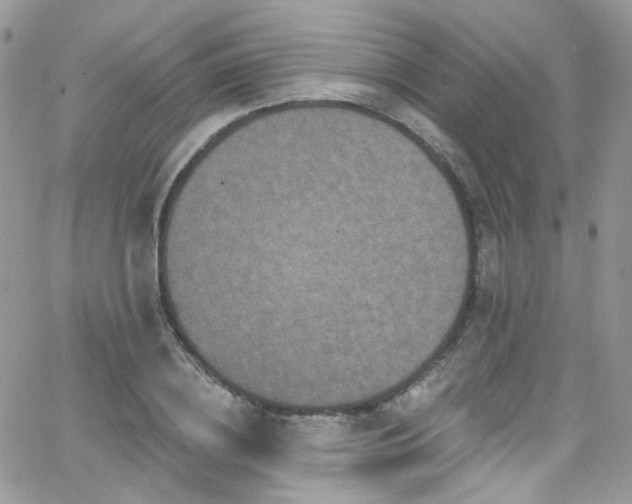 X0000062140836200512091213