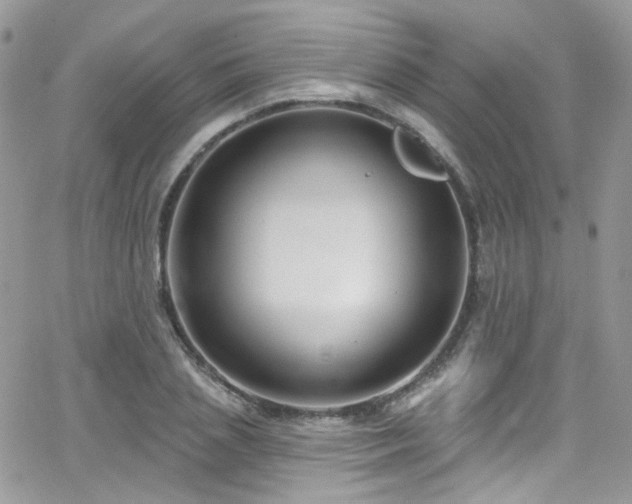 X0000062140837200512091213