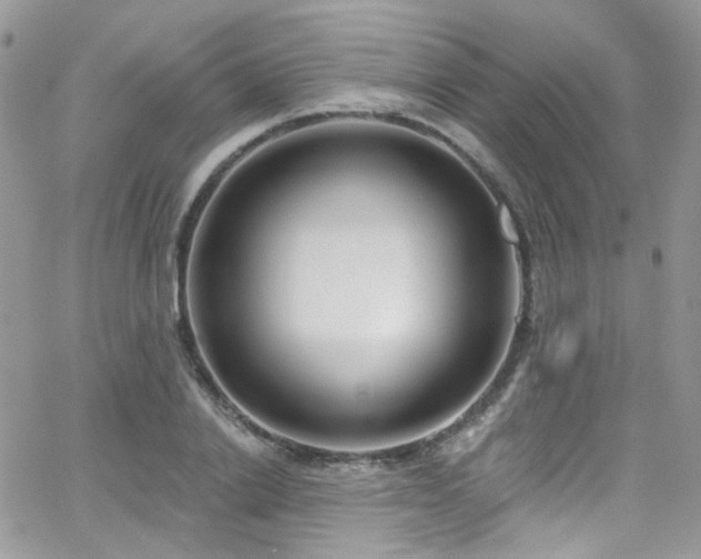 X0000062140838200512091213