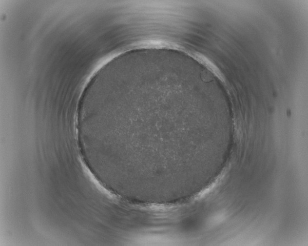 X0000062140839200512091213