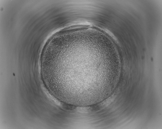 X0000062140840200512091213