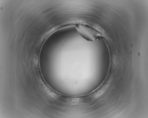 X0000062140841200512091213