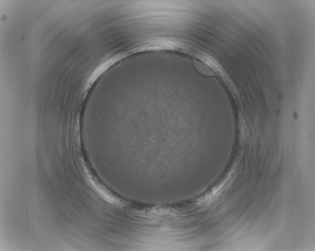 X0000062140842200512091213