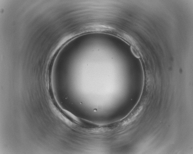 X0000062140843200512091213