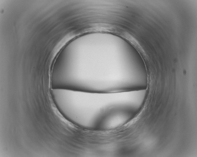 X0000062140844200512091213